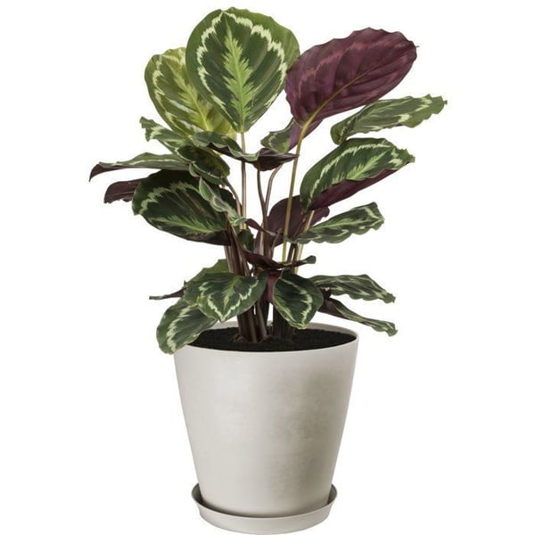 Rund blomkruka - GARDEN ID - Gungkon - Ø 30 - 14 L - H 29 cm - Vit sten