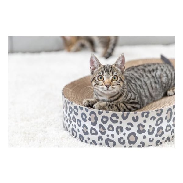 Kradsetr�sseng - TRIXIE - LEO - Pap - 63 x 10 x 35 cm - Cremefarvet leopardprint