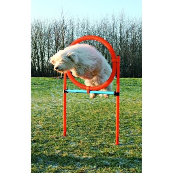 TRIXIE Agility b�jle til hunde 115 x 3cm plast