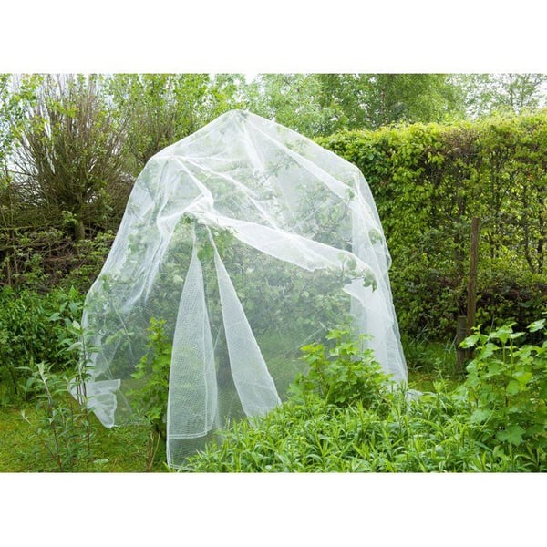 Skyddsnät mot äppel-/päronmaskar och hagel - NATURLIGT - 5,2 x 5m - 3 x 6mm