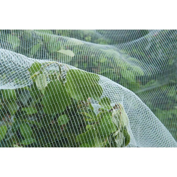 Skyddsnät mot äppel-/päronmaskar och hagel - NATURLIGT - 5,2 x 5m - 3 x 6mm