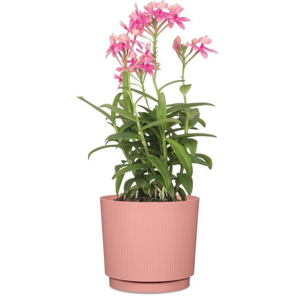 Rund kruka - GARDEN ID - Lino - Ø 25 - 7 L - H 22 cm - Rosa