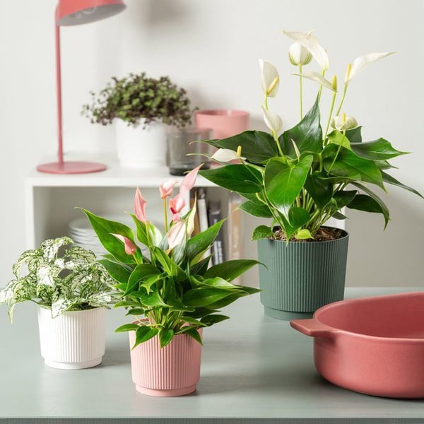 Rund kruka - GARDEN ID - Lino - Ø 25 - 7 L - H 22 cm - Rosa