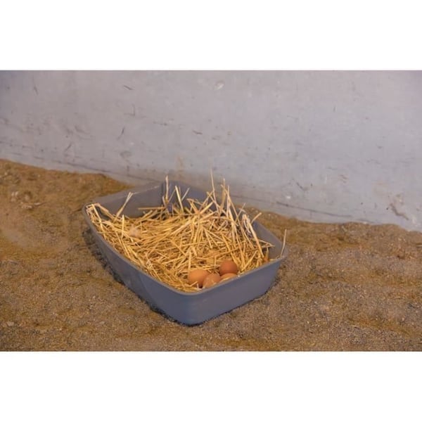 Pesim�laatikko kanoille - KERBL - 52 x 39 x 39 cm