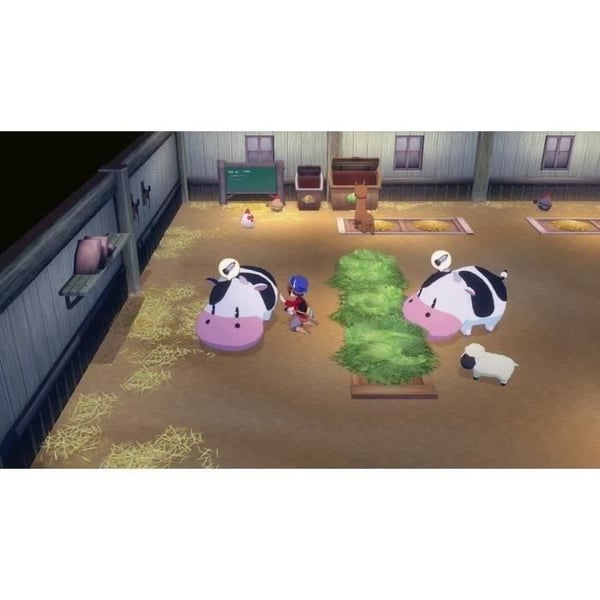 Story of Seasons: Grand Bazaar - Nintendo Switch -peli - Rajoitettu er�