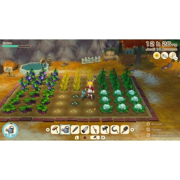 Story of Seasons: Grand Bazaar - Nintendo Switch -peli - Rajoitettu er�