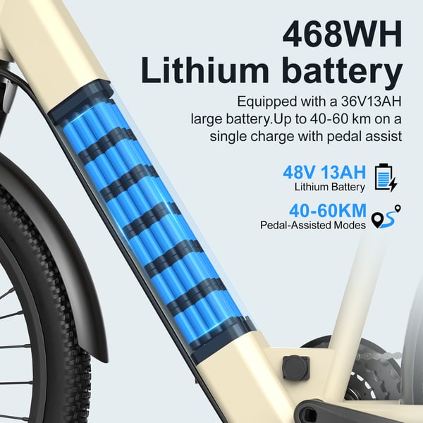 E-cykel Aairsk SU7, 24" til voksne, 36V 250W 13AH, NFC-oplåsning