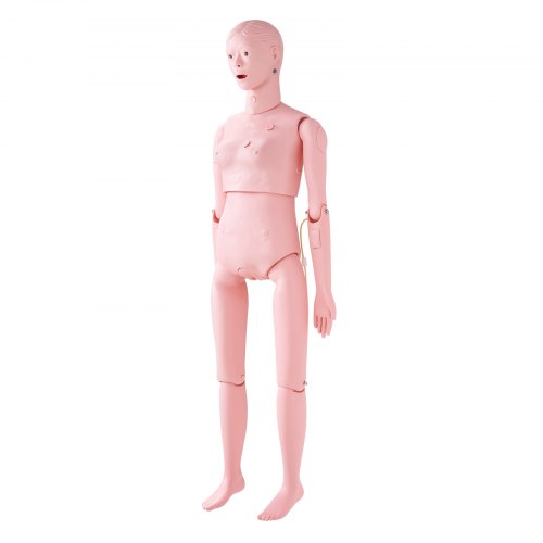 Sygeplejetræningsdukke, Livsstørrelse 153x45x21 cm, Kvinde, PVC