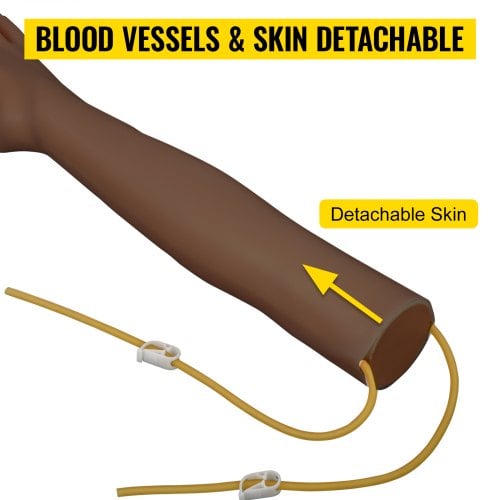 Intravenøs øvearm sæt, 55 cm, mørk, PVC materiale, til undervisningsbrug