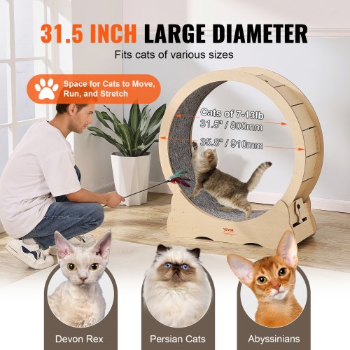 Katte motionshjul, 91x31,8x97 cm, Træ, Indendørs katte fitnessudstyr