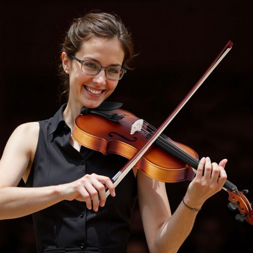 Violin, 600x210x85 mm, Brun, Massivt Træ