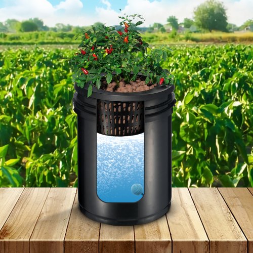 Hydroponisk system, recirkulerende Deep Water Culture 4 spande, 30x30x38 cm, sort, PP-materiale