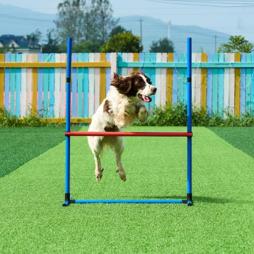 Hundagility träningsset, 71x60x23 cm, Förvaring, PVC