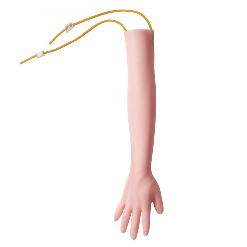 Flebotomian harjoittelukäsivarsi, 56x13x7 cm, IV-harjoittelu, PVC