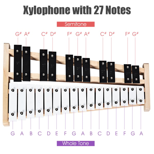 Glockenspiel Xylofon, 43x24x4 cm, Sort Hvid , Star