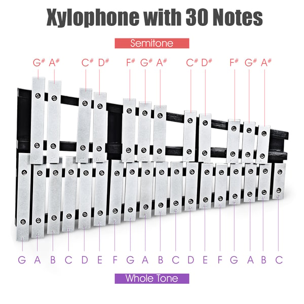 Glockenspiel Xylofon, 55.88x33.02x5.08 cm, Sort Sølv , Star