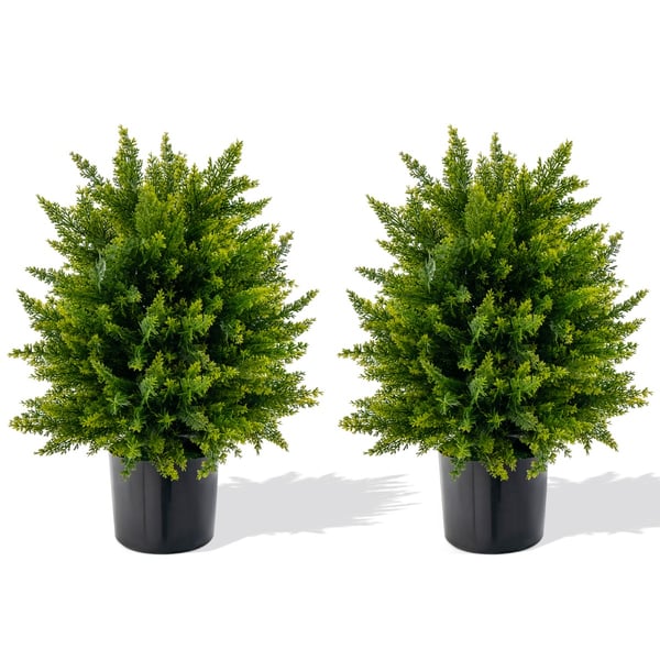 Teko Setripuu Topiary-pallopuu, 21,5x13x15 tuumaa, Vihreä , Star