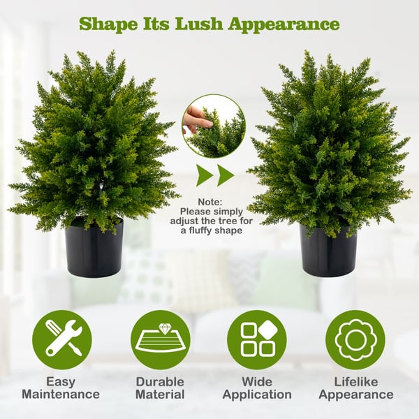Teko Setripuu Topiary-pallopuu, 21,5x13x15 tuumaa, Vihreä , Star