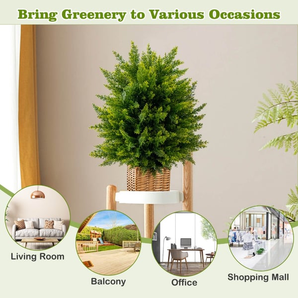 Teko Setripuu Topiary-pallopuu, 21,5x13x15 tuumaa, Vihreä , Star