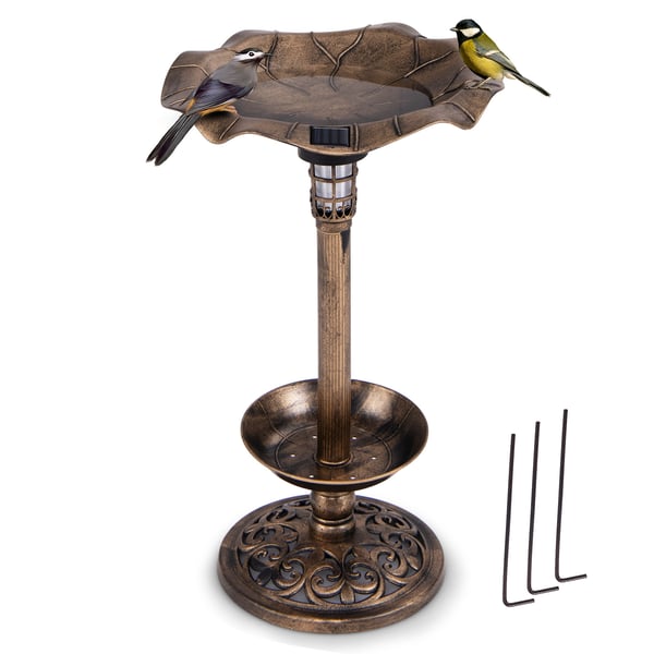Fuglebad og foderautomat kombi, 43x43x76 cm, bronze , Star