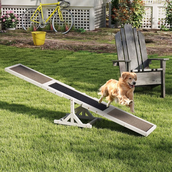 Hund Agility vippe, 179x30x55 cm, hvid , Star