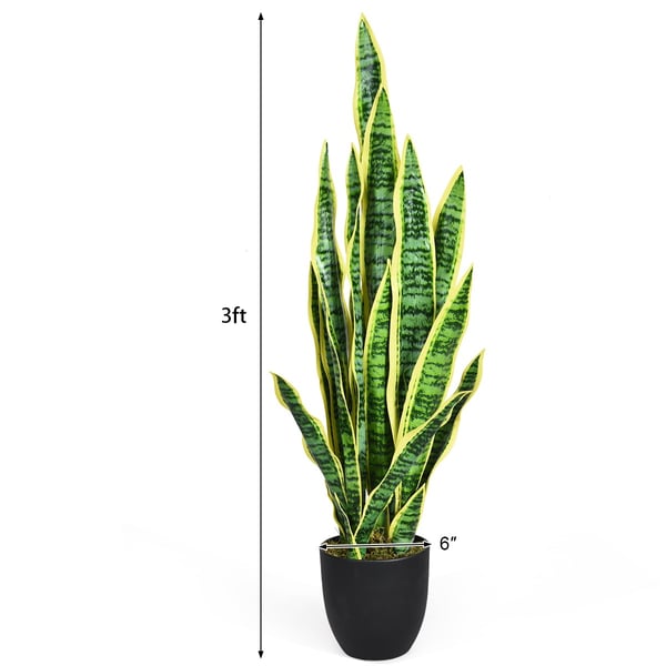 Tekonivelkaktus, 35.5", Vihreä + Keltainen , Star