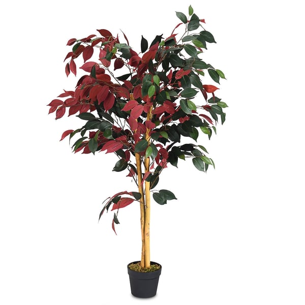 Kunstig Plante, 4 Fod Capensia Busk , Star