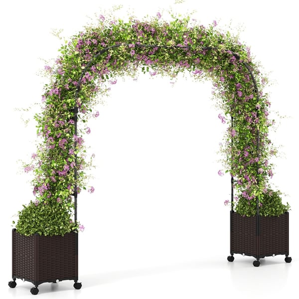 Havebue Espalier, 202x40x288 cm, Sort og Brun , Star
