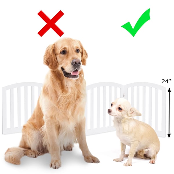 Sikkerhedsgitter til hunde, 246x61 cm, Hvid , Star