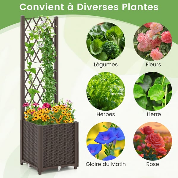 Planter med Espalier, 40x40x140 cm, Kaffe , Star