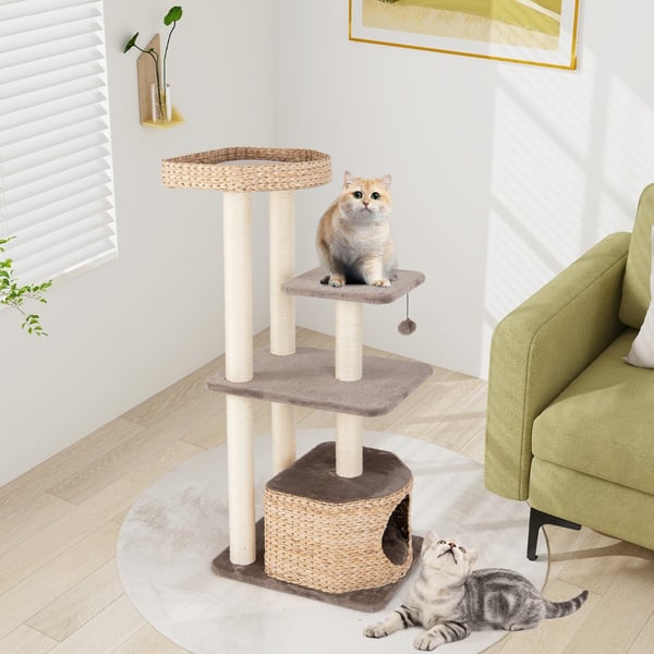 Kattträd, 60x48x131 cm, Kaffe , Star