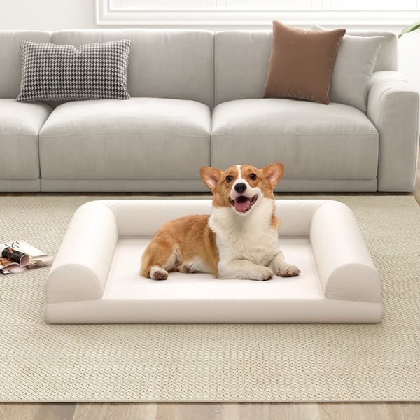 Koiranpeti, 90x69x18 cm, beige , Star