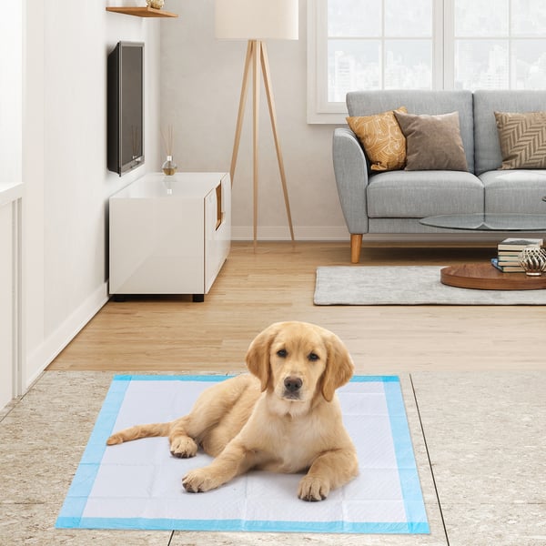 Hundetissemåtter, 150 stk. Ekstra Stor, 75x75 cm , Star