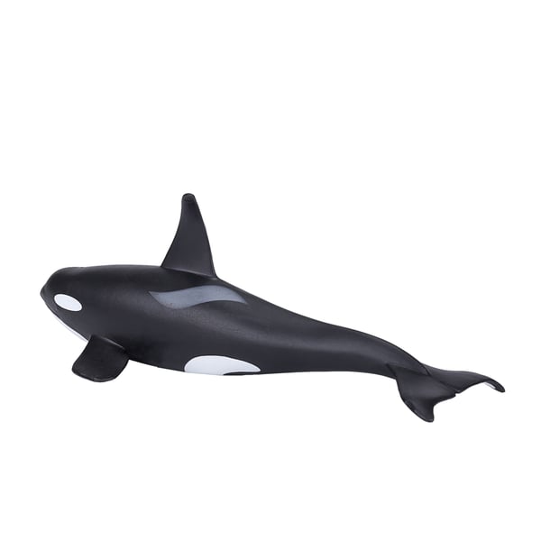 Mojo Fun Male Orca