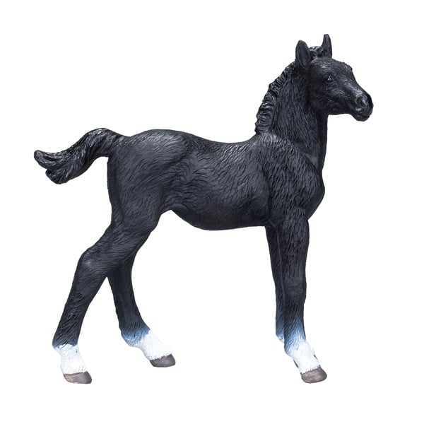 Mojo Fun Hanoverian Foal Black