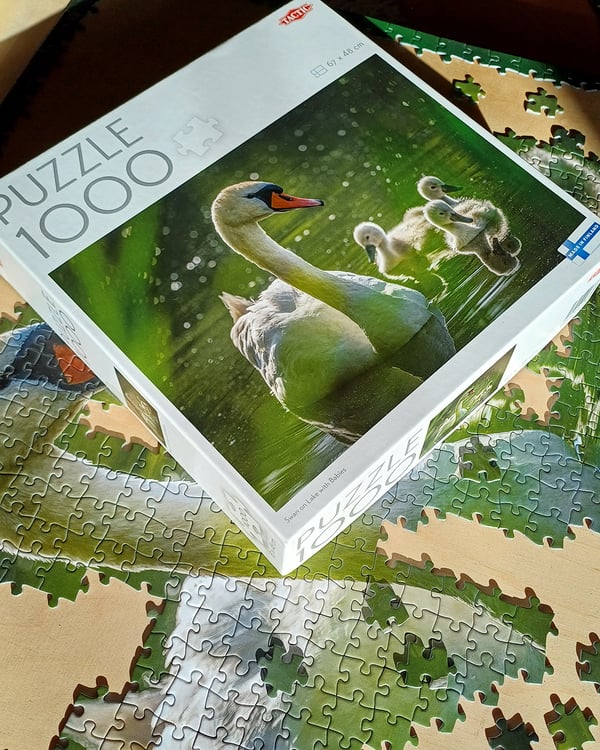 Tactic Puzzle Lovers Swan on Lake with Babies 1000 palan palapeli