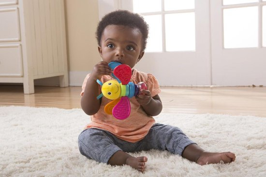 Lamaze Freddie rangle