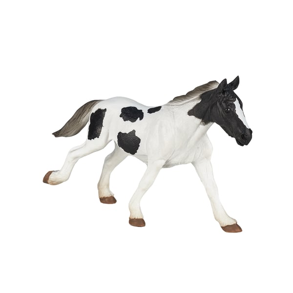 Mojo Fun Irish Cob Yearling