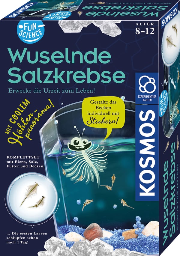 Kosmos 65416