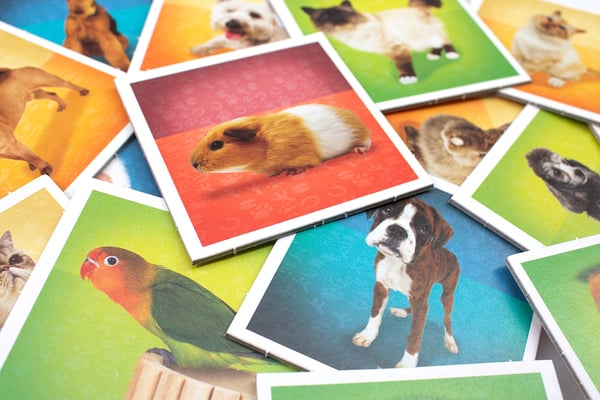 Tactic Pets Memo Kortspil Matching