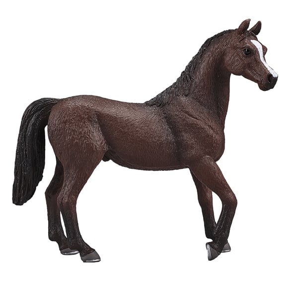 Mojo Fun Arabian Stallion Chestnut