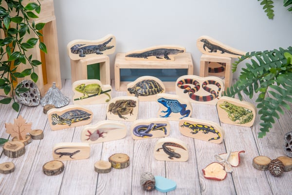 Tickit Wooden Reptile & Amphibian Blocks