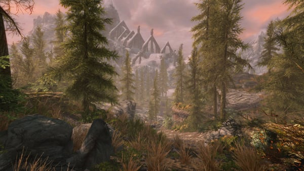 Sony Interactive Entertainment The Elder Scrolls V: Skyrim VR, PS VR Standard+Add-on PlayStation 4