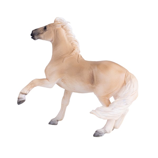 Mojo Fun Brumby Mare