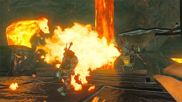 Nintendo The Legend of Zelda: Breath of the Wild Switch Standard Fransk Nintendo Switch