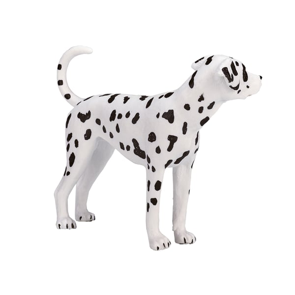 Mojo Fun Dalmatian