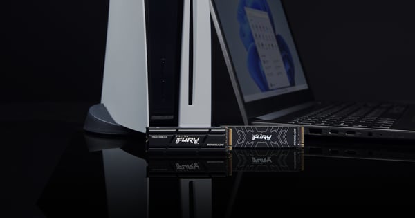 Kingston Technology 2000G RENEGADE PCIe 4.0 NVMe SSD M/HEATSINK