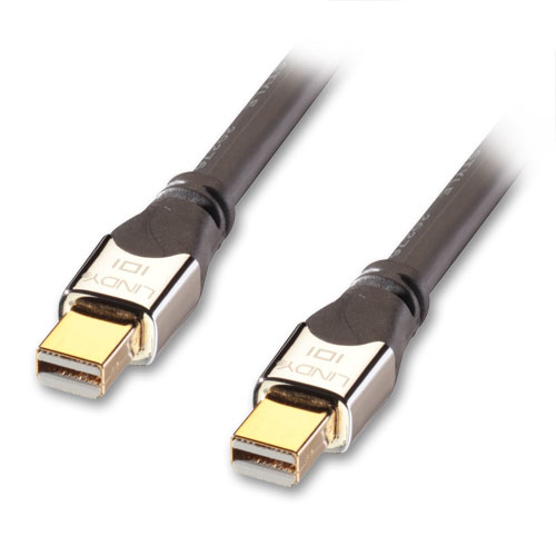 Lindy 41542 DisplayPort kabel 2 m Mini DisplayPort Sort