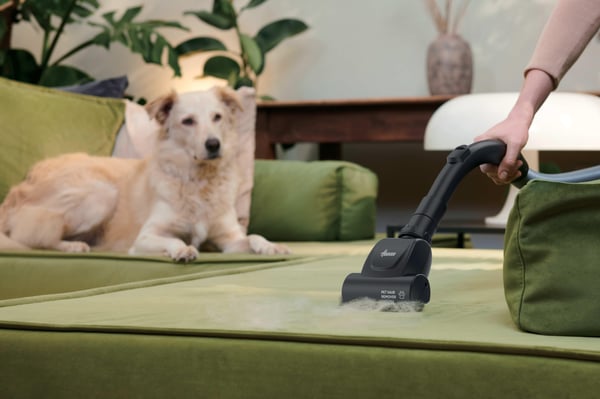 Hoover HE120PET 011 2,5 l Cylinderdammsugare Torr 700 W Dammpåse