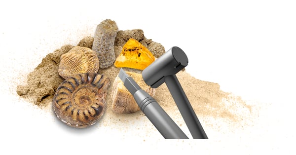 Kosmos Dig Out Fossils